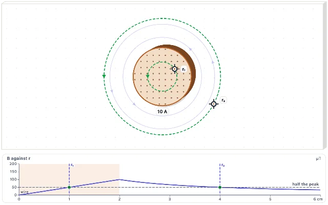 A picture of the Amperian Loop simulation