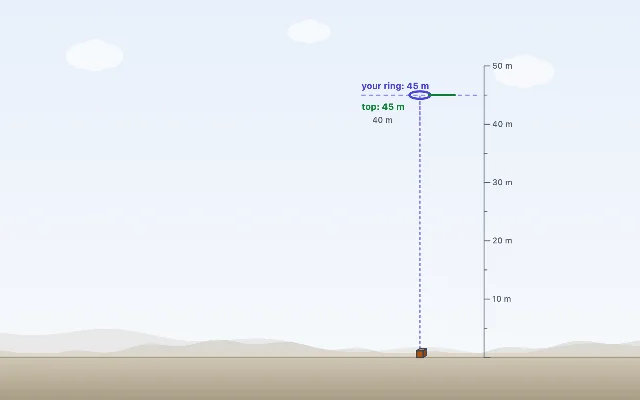 A picture of the Balloon Drop simulation