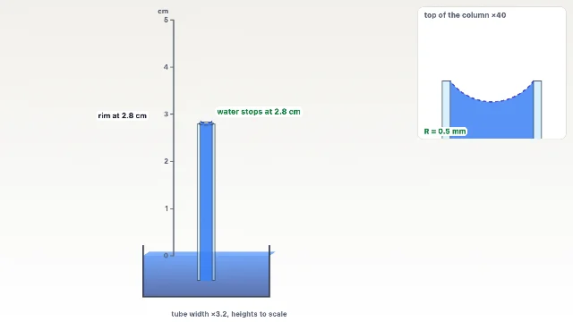 A picture of the Capillary Rise simulation