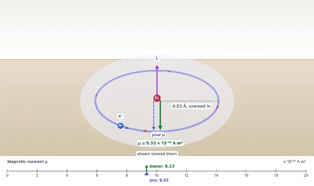 A picture of the Charge Carousel simulation