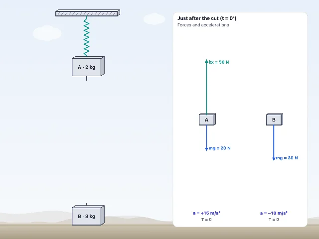 A picture of the Cut the String simulation