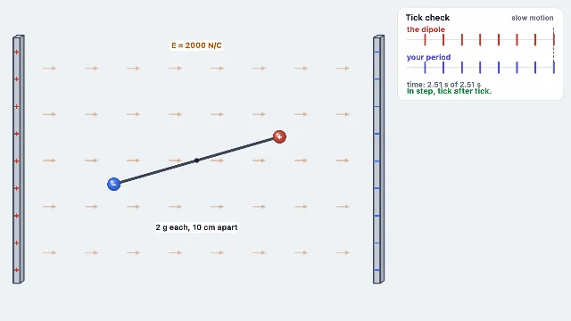A picture of the Dipole Twist simulation