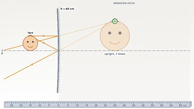A picture of the Image Hunter simulation