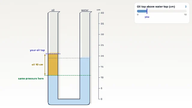 A picture of the Liquid Columns simulation