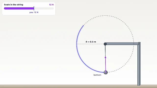 A picture of the Loop the Loop simulation