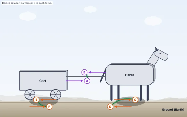 A picture of the Pair Up! simulation