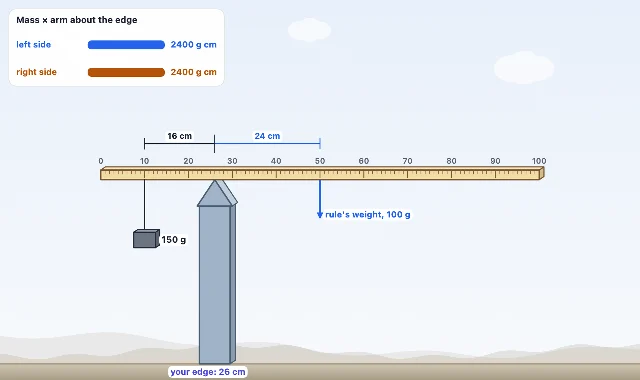 A picture of the See-Saw simulation