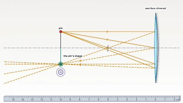 A picture of the Silver Back simulation
