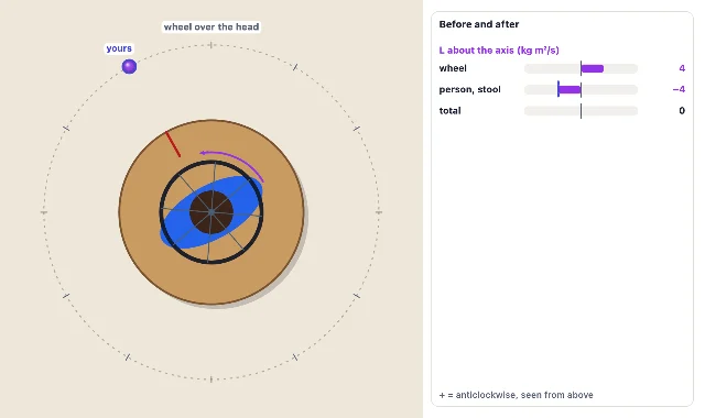 A picture of the Spinning Skater simulation