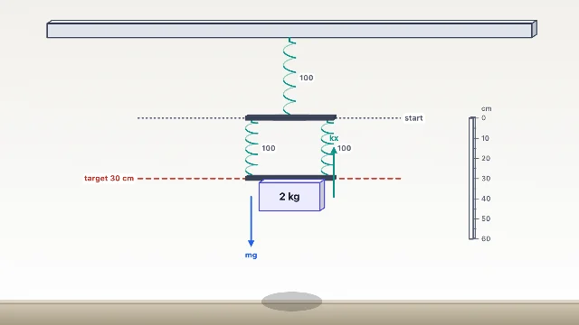 A picture of the Spring Builder simulation