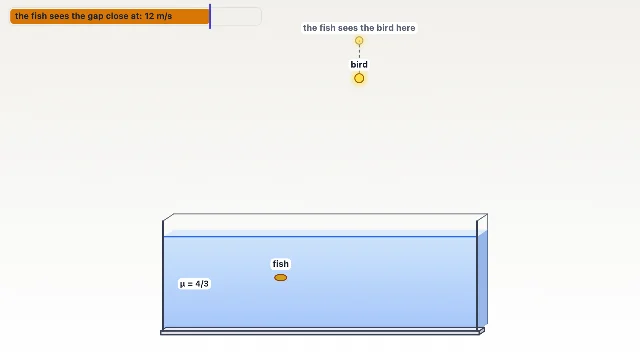 A picture of the Sunken Coin simulation