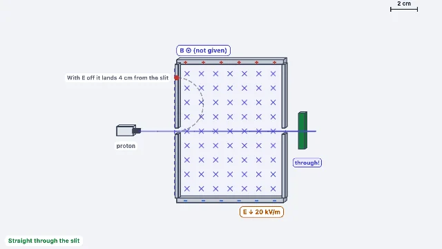 A picture of the Velocity Selector simulation